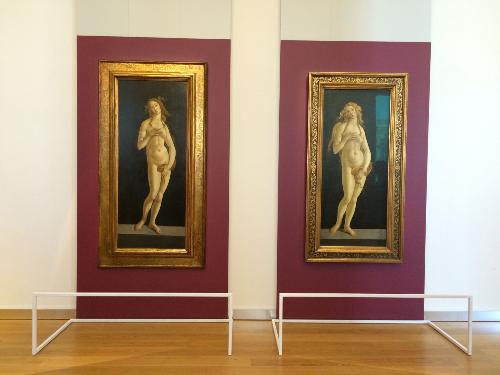 Venere incontra Venere - due opere di Botticelli a confronto