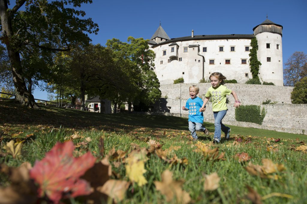 Alpe di Siusi Marketing Foliage di Helmuth Rier