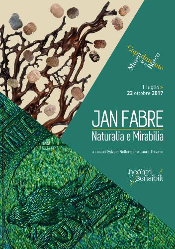 Jan Fabre Naturalia e Mirabilia