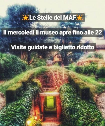 Le Stelle del MAF