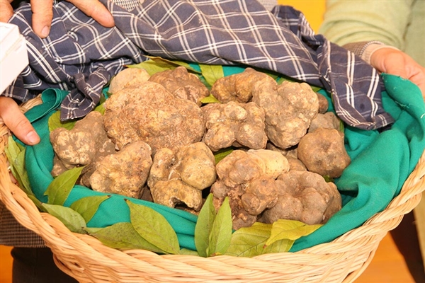 51° Fiera e Sagra del Tartufo