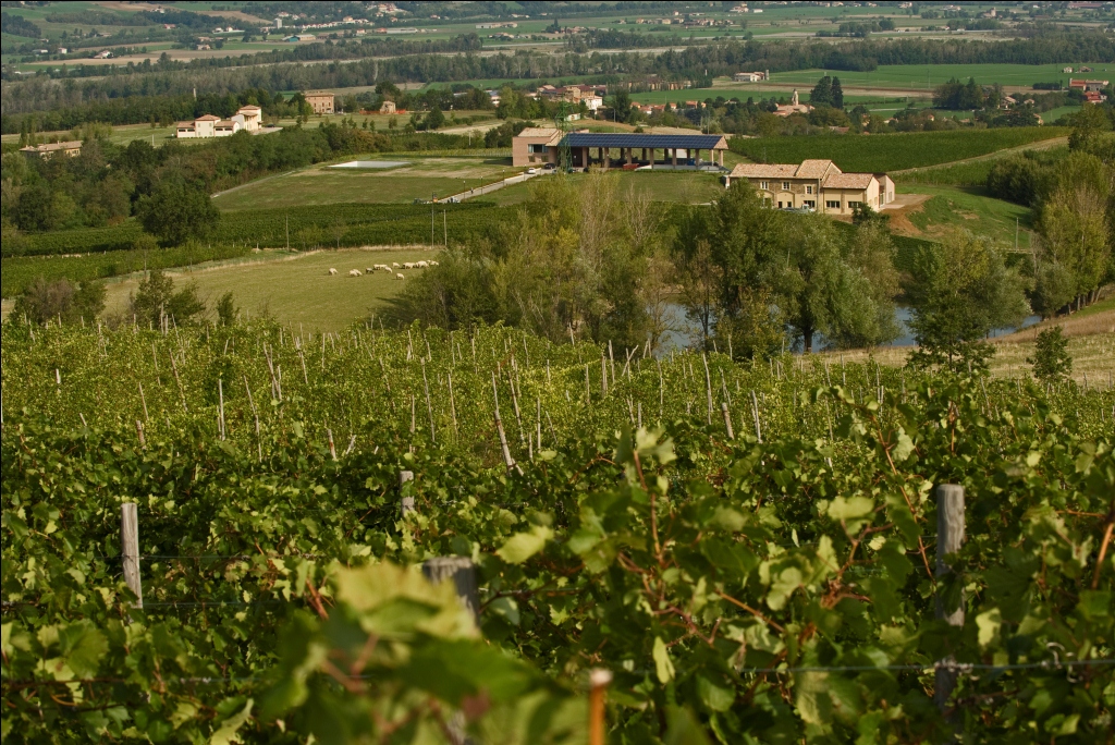 Monte delle Vigne 18