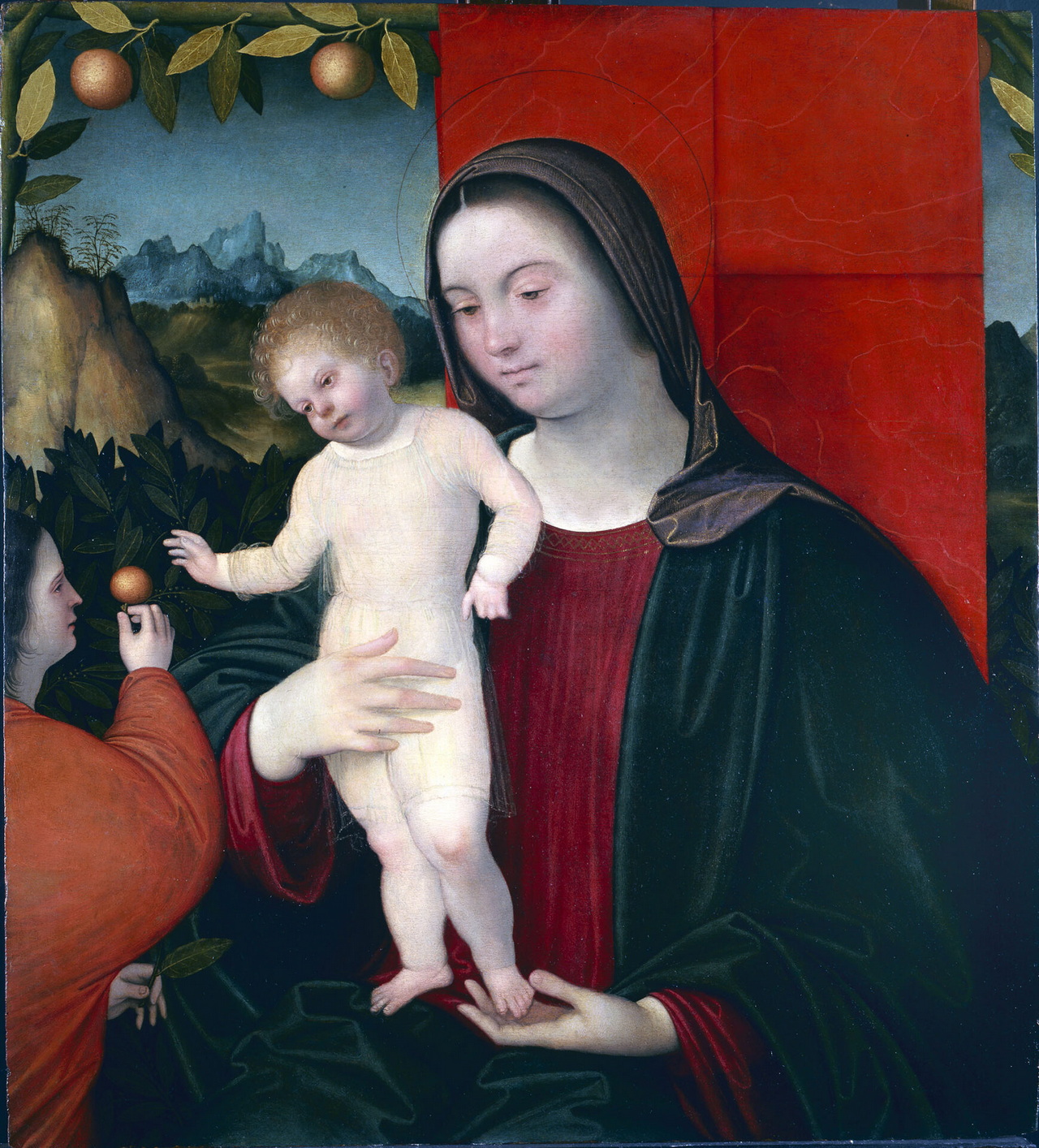 Madonna 
