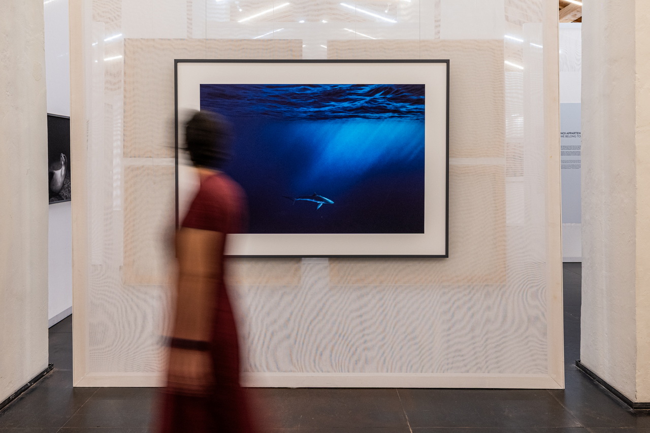 CRISTINA MITTERMEIER. La grande saggezza Castello di Brescia, foto Marco de Luca per Fondazione Brescia Musei