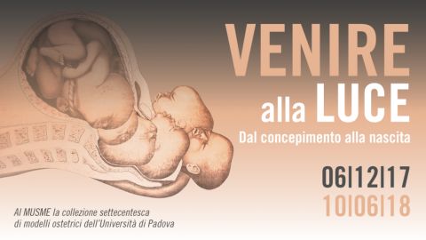 Venire alla luce - Dal concepimento alla nascita