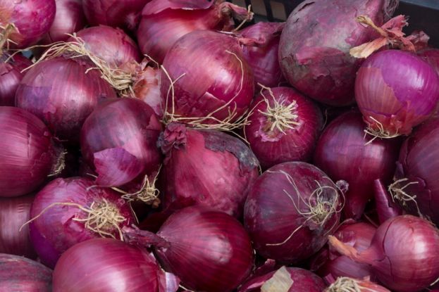 XL Sagra della Cipolla Rossa a Ricadi