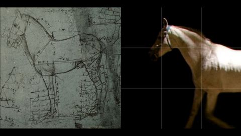 Leonardo, Osservazioni sulla Natura, Cavalli