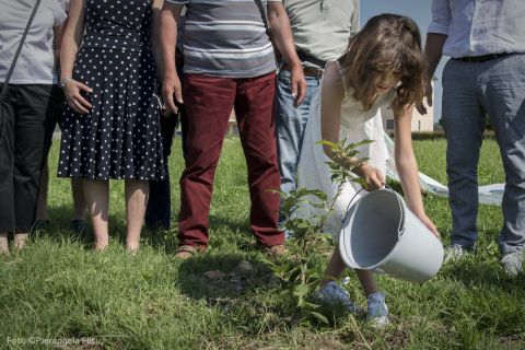 Eologia creativa al Festival della Lentezza