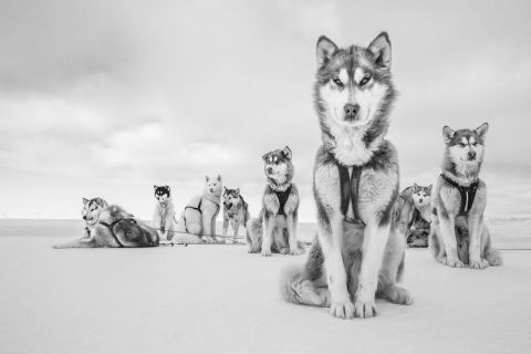 Cristina Mittermeier. La Grande Saggezza