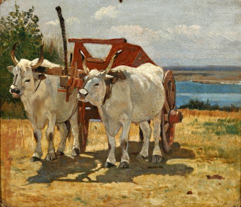 Giovanni Fattori, Bovi al carro, 1868, olio su cartone, Collezione Palazzo Foresti, Carpi