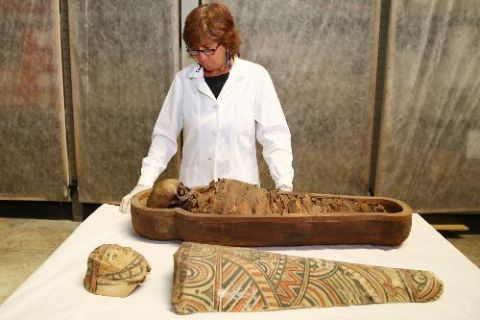 Storie d’Egitto. La riscoperta della raccolta egiziana del Museo Civico di Modena