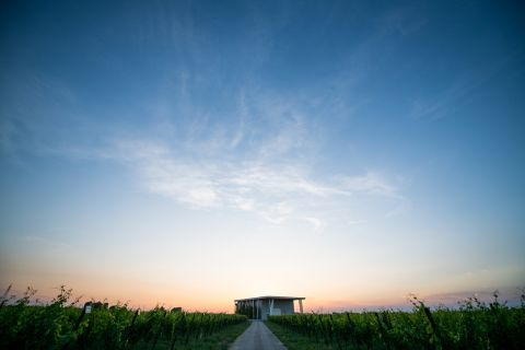 Cantina Ventiventi
