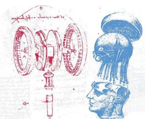 Leonardo da Vinci Anatomie: macchine, uomo, natura