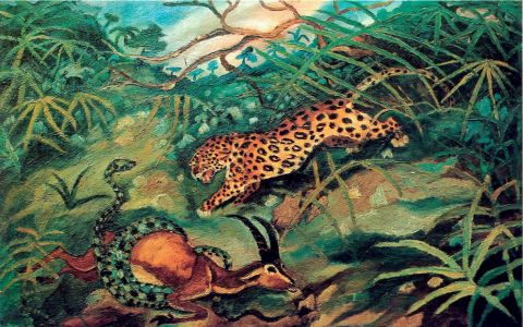 Antonio Ligabue e l’arte degli Outsider