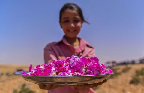 La Rosa di Damasco - Dalla Siria a Torino