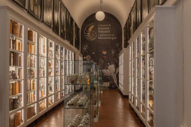 Planetario e Museo della Fondazione Scienza e Tecnica