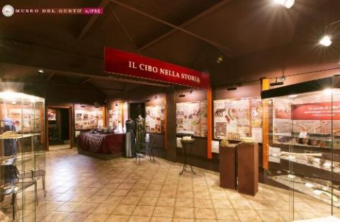 Il miele al Museo del gusto