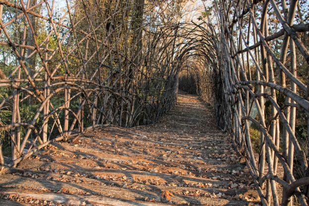 Sui passi di Giuliano Mauri, il tessitore del bosco