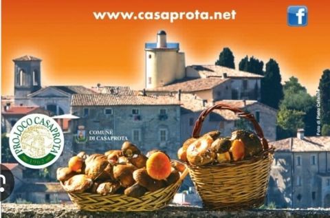 Sagra delle Fettuccine ai Funghi Porcini
