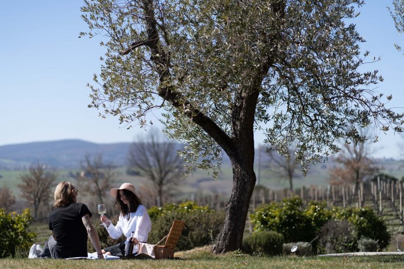 Wine Lover in Umbria