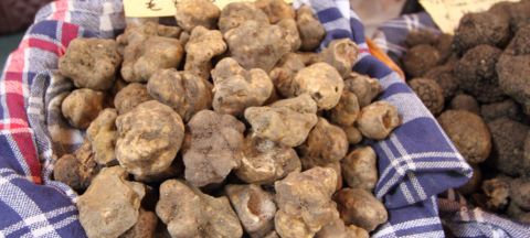 Fiera del Tartufo Bianco a S.Agata Feltria (RN) dall&#039;1 al 29 ottobre