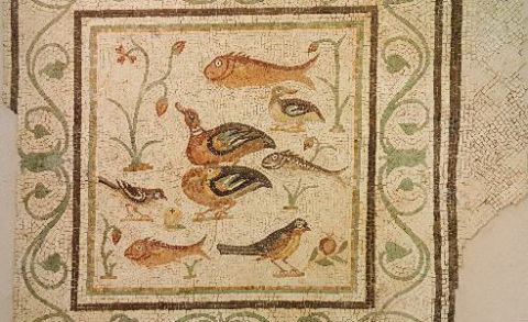 Mosaico scena acquatica