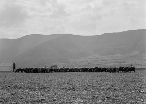 Giacomelli, Roiter e Spina: mostra fotografica a Perugia