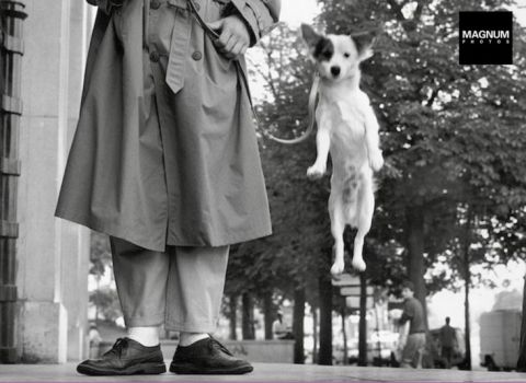 Eliott Erwitt: i cani sono come gli umani, solo con più capelli