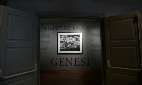 Sebastião Salgado - Genesi