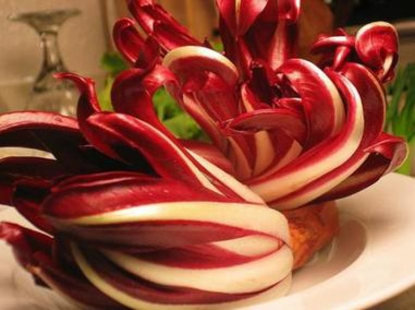 radicchio rosso