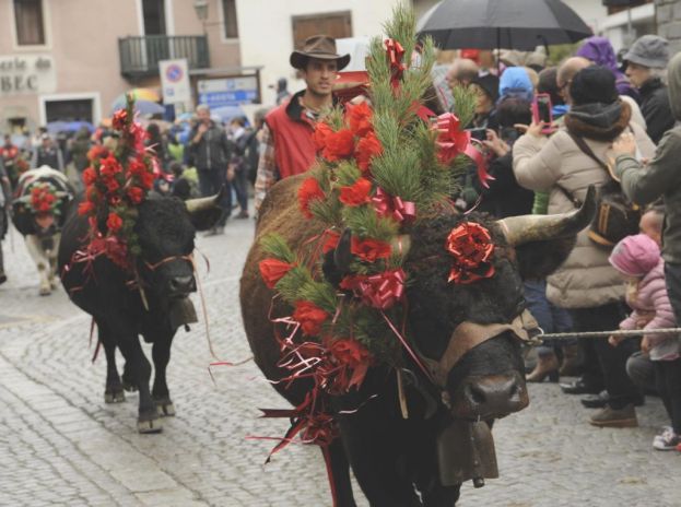 Devétéya é Féra de Cogne