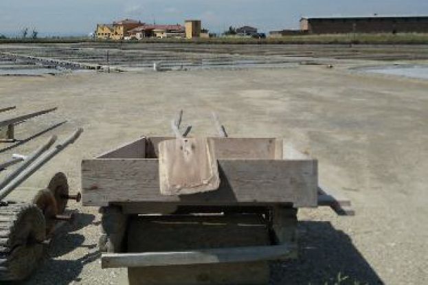 L&#039;oro bianco di Cervia