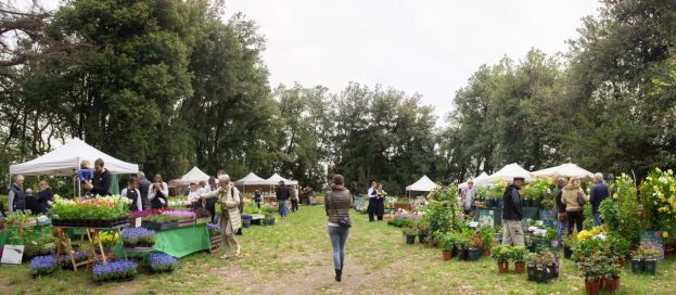 Fiori, saperi e sapori