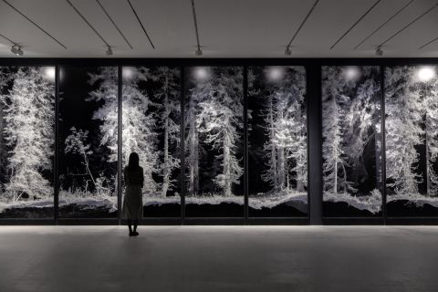 Quayola Remains: Vallée de Joux, 2018