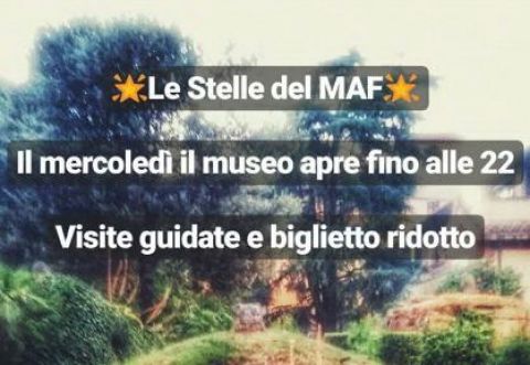 Le Stelle del MAF - Museo Archeologico di Firenze
