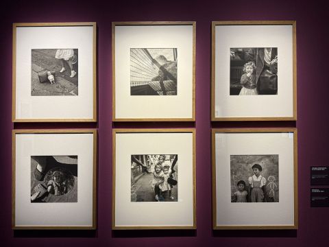 Vivian Maier a Padova