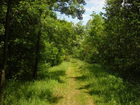 Dalla Selva Gena all'area naturalistica del Torrazzuolo