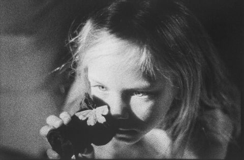 Still Image. Fotografie di Jessica Lange