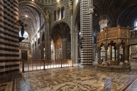 Pavimento del Duomo di Siena
